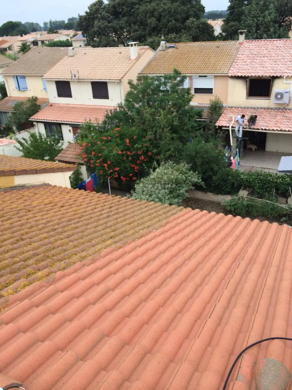 Démoussage en cours : à gauche avant, à droite après