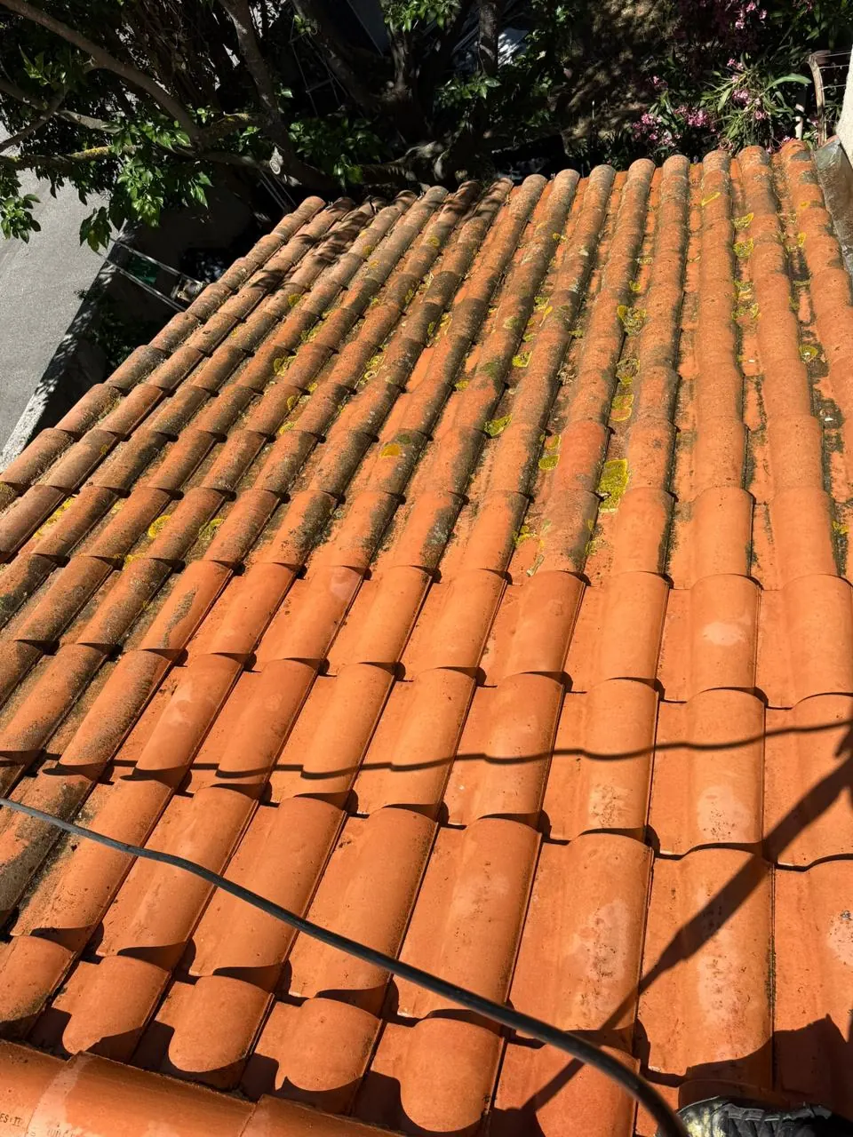 Démoussage de tuiles